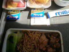 -新加坡航空公司(ION)