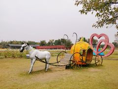 -杭州湾海上花田景区