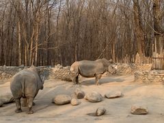 -北京野生动物园