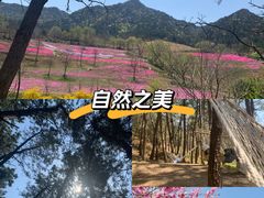 -昆嵛山石门里景区
