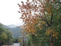 -山沟沟景区
