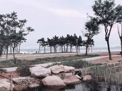 -青岛海泉湾度假区温泉