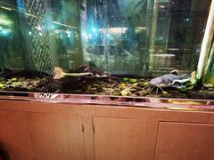 门面-衡山汇·高级粤菜(霄云路店)
