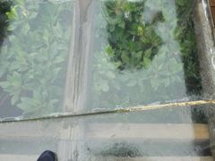 -东寨港红树林旅游区