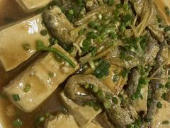 -杨记新泉美食