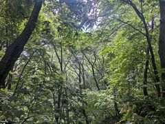-五女山景区