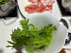 -麻辣因子滩羊火锅(世和广场店)