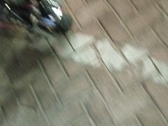 -忆江南·临江鱼馆