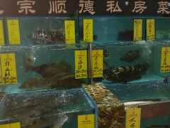 -有腥气私房菜·寻味顺德