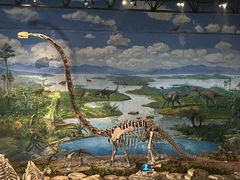 -自贡恐龙博物馆