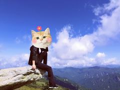 -秦岭风景区