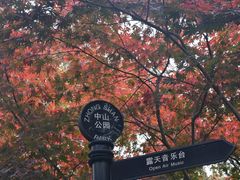 -中山公园