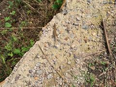 -蒲黄榆第二幼儿园(建邦华府分园)