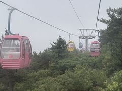 -摩天岭风景区