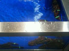 -北国超市(益元店)