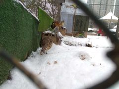 -陕西自然博物馆