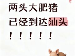 -啊溜烧烤·炭火传承(南澳店)