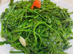 -清新鸡沙田乳鸽店(金融店)