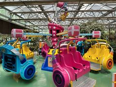 -南宫五洲植物乐园