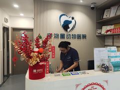 -宠物星动物医院·眼科·异宠·猫科(江南大道总院)