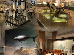 -狼山风景名胜区