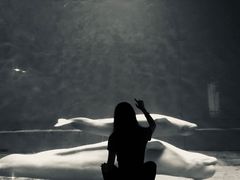 -芜湖新华联大白鲸海洋公园