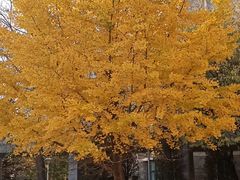 -辽宁大学(崇山校区)