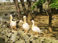 -黔灵山公园