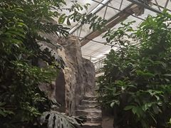 -世界地热博览园