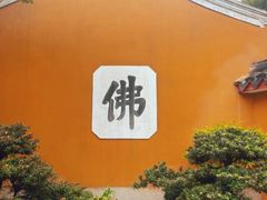 -普陀山风景区-佛顶山