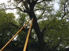 -无锡惠山寺
