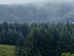 -塞罕坝国家级自然保护区