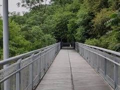 -佛山华盖山公园