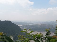 -铁山坪森林公园