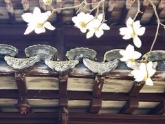 -上海醉白池公园