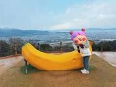-岚山猴子公园