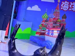 -成都浩海立方海洋公园