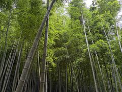 -南北湖风景区