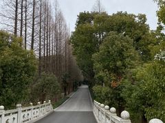 -同里国家湿地公园