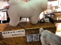 -more than meow吴止猫主题餐厅(承德 中船汇店)