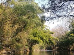 -九曲溪竹筏码头