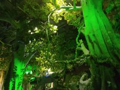 -福州罗源湾海洋世界旅游区