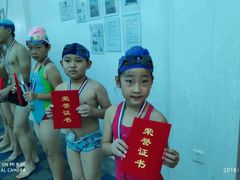 -鲨鱼游泳培训中心