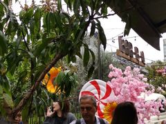 -The Grounds of Alexandria