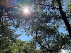 -仙店农庄(湖景农庄餐厅)