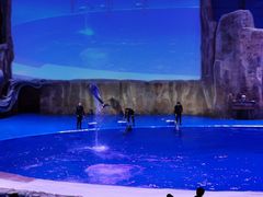 -华夏文旅海洋公园