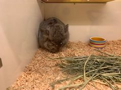 -龙猫仔乐园(惠福东路店)