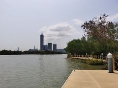 -华侨城湿地公园