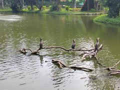 -深圳野生动物园