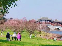 -上海海湾国家森林公园